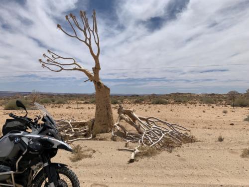 MWZ-Motorradtour-Namibia-005