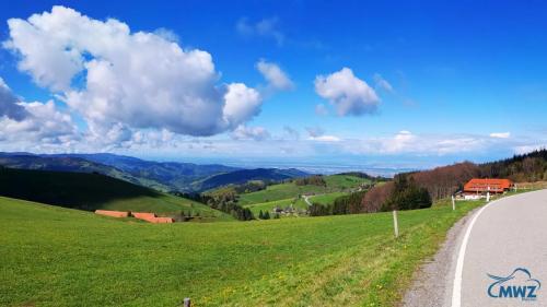 MWZ-Training-on-Tour-Schwarzwald