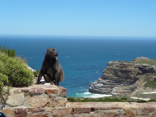 Motorradtour-Küstentour-Südafrika010