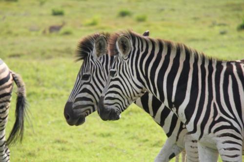 Motorradtour-Küstentour-Südafrika023