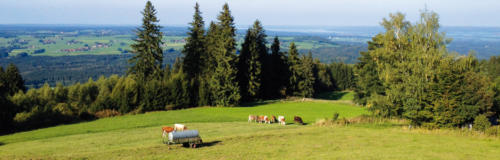 Tour_BayerischerWald_MotorradWeiterbildungszentrum_Muenchen
